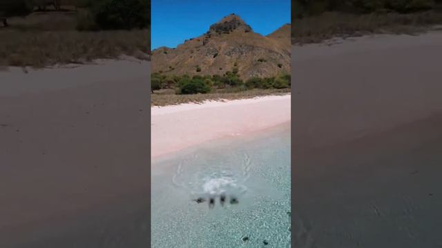 📍Komodo National Park, Indonesia. 🎥: @travass.life + @sailwithpapiton ⛵️ смотреть онлайн