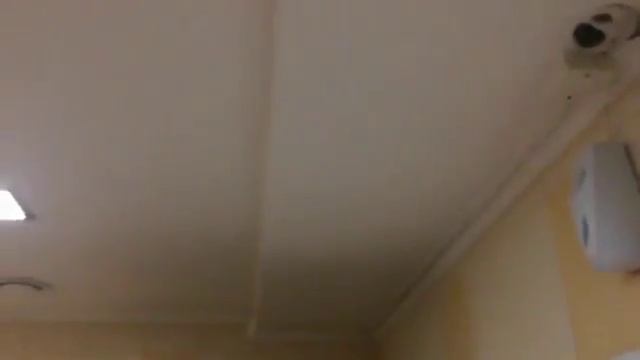 В туалете алтайского кафе ведут видеонаблюдение за посетителями смотреть онлайн