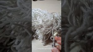 Туториал на хвост без меха♡╺⃝⃤ #квадробика #териан #териантропия #туториал #хвостбезмеха