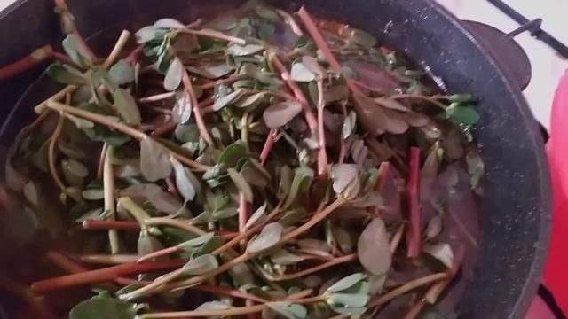 Блюдо дня. ПОРТУЛАК - старинный рецепт приготовления. Если увидели в саду этот сорняк, берегите его смотреть онлайн