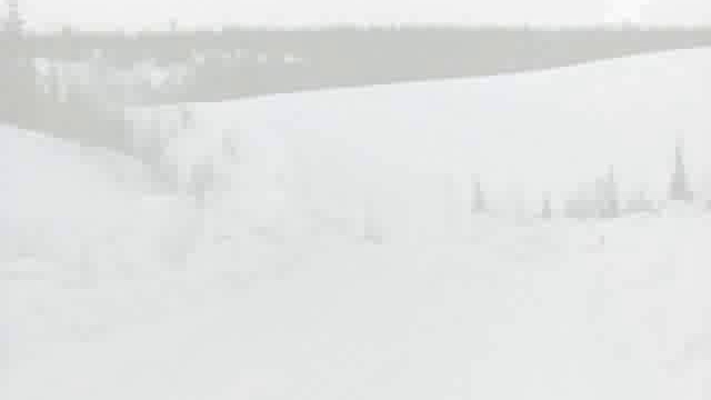 Алексей Борисов