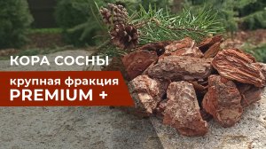 Кора сосны крупная фракция - мульчирование и зонирование участка