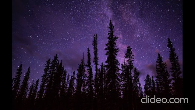 Звуки природы (Ночной лес)\\Sounds of Nature (Night Forest) смотреть онлайн