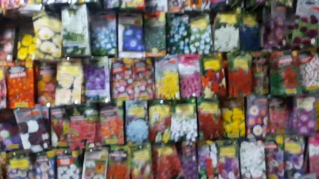 Поездка в Асбест! Забежала в кондитерскую за тортиком! Обзор в магазине Садовый Центр в Асбесте!. смотреть онлайн