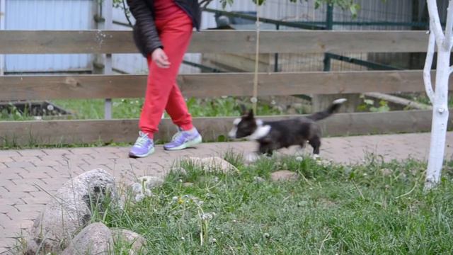 Фиона 3,5 месяца смотреть онлайн