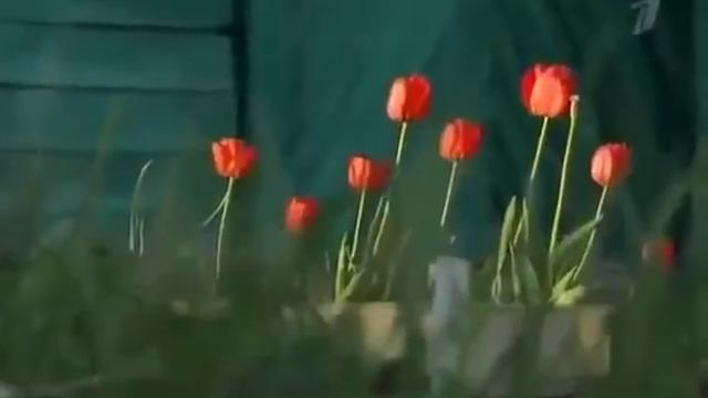 Атомные подводные лодки РОССИИ Ясень и Борей