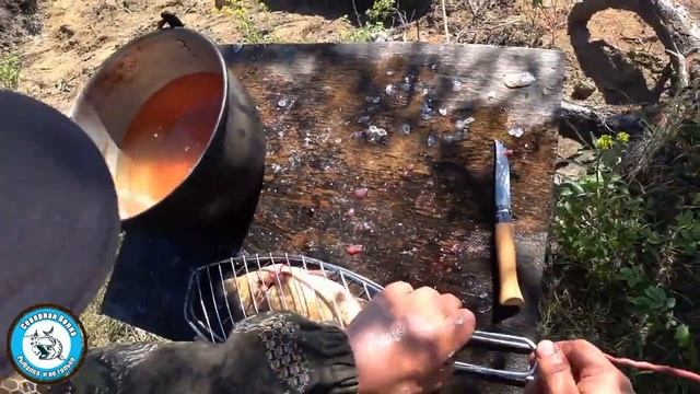 ПОЛЕВАЯ КУХНЯ / КАРАСЬ НА КОСТРЕ / походная кухня. рыбалка смотреть онлайн