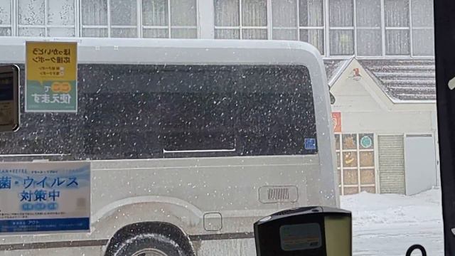 Slow-mo snowfall 02 Akancho Akankoonsen, Hokkaido, Japan, 2023-02-26 смотреть онлайн