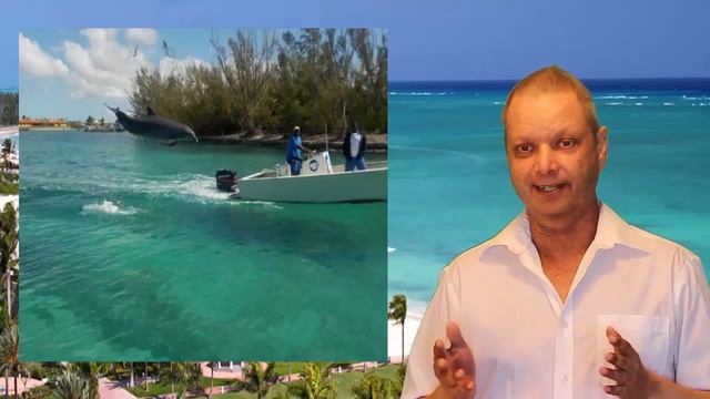 10 things to do in Freeport Bahamas смотреть онлайн