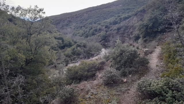 living смотреть онлайн