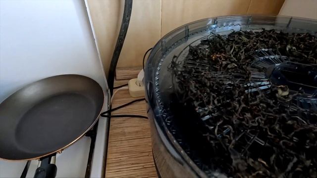 Тайны тайников