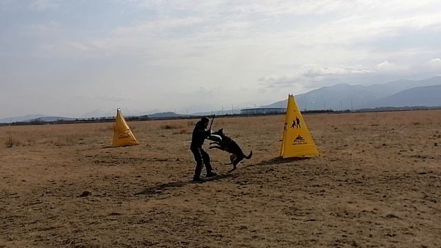 2.  выражено/пож OSTEN STERN CHEKHIYA (Liam V. Bad-Boll – Osten Stern Valkiriya)