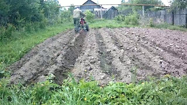 Дисковый окучник с мотоблоком смотреть онлайн