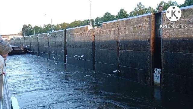 Шлюзы, река Волга на теплоходе Иван Кулибин шлюзование Рыбинское водохранилище 18 метров подъем шлю смотреть онлайн