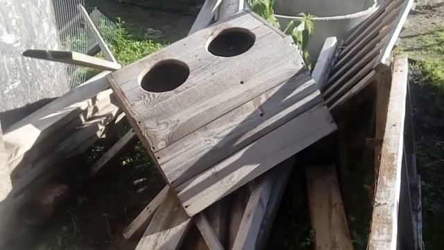Сделали уличные гнёзда для кур и индюшек смотреть онлайн