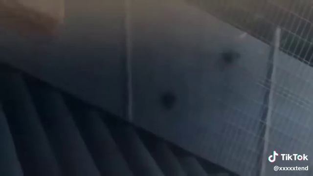 Между нами пау пау смотреть онлайн