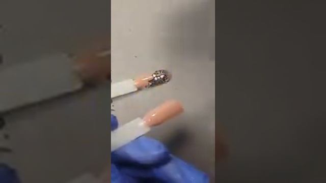 Татьяна Шух. Бархатные розы трехцветные смотреть онлайн