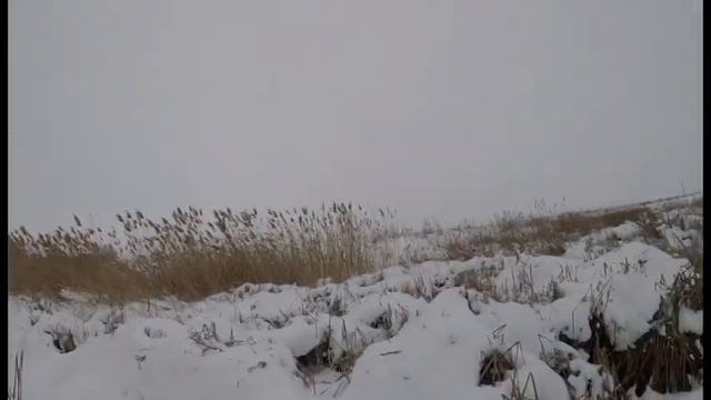 бывает и такое №2 смотреть онлайн