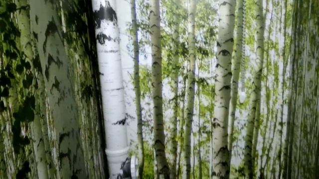 Дизайн туалета в стиле берёзовой рощи смотреть онлайн