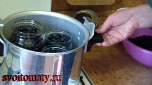 Черника в собственном соку.  Черника без сахара