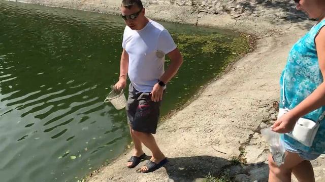 Таиланд21 Очистка кармы(отпускаем жаб и рыбок на волю) смотреть онлайн