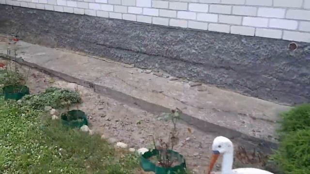 Последний день лета и первый день осени... Привет школа!!! смотреть онлайн