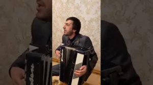 Новая аварская 2020 - аварская на гармошке - Магомед Шамсудинов