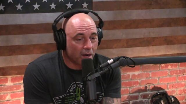 Joe Rogan is FREAKED Out by "Murderous...Flesh Eating" Robots смотреть онлайн