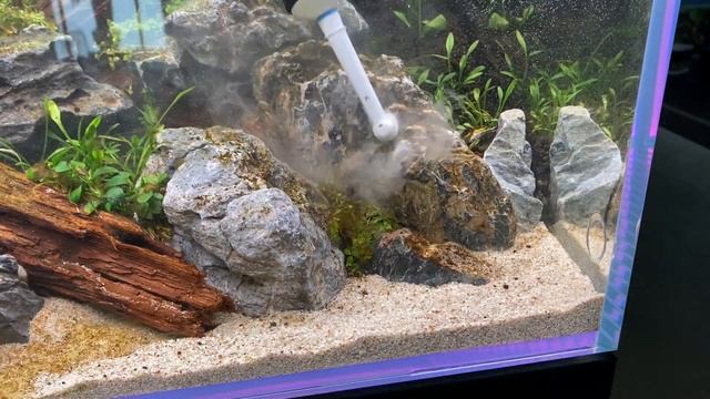 Oase ScaperLine 100 live aquascaping session timelapse @De Wase Aquarium & Vijverwinkel смотреть онлайн