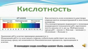 Как определить кислотность Ph почвы самостоятельно в домашних условиях?