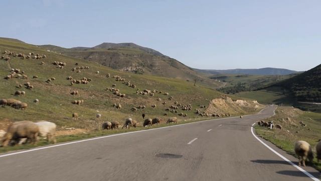 Старики бродяги в Хивском районе смотреть онлайн