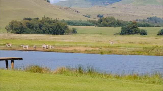 ?Куда бы ты ни шел-ты уже там?Эп.9из15:Выход Из Медитации смотреть онлайн