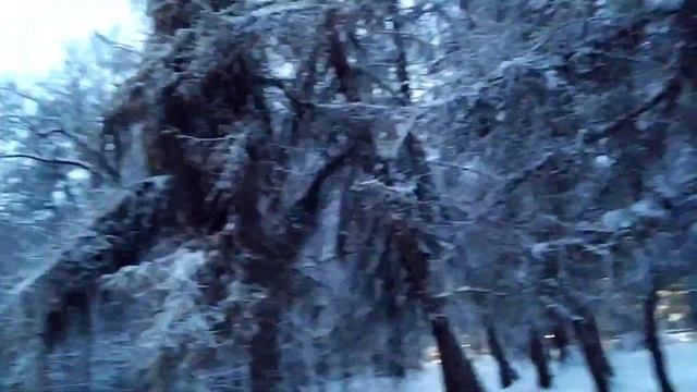 Хайповать или нет на канале ?Что такое hyip? ?Прогулялась по парку⛄? смотреть онлайн