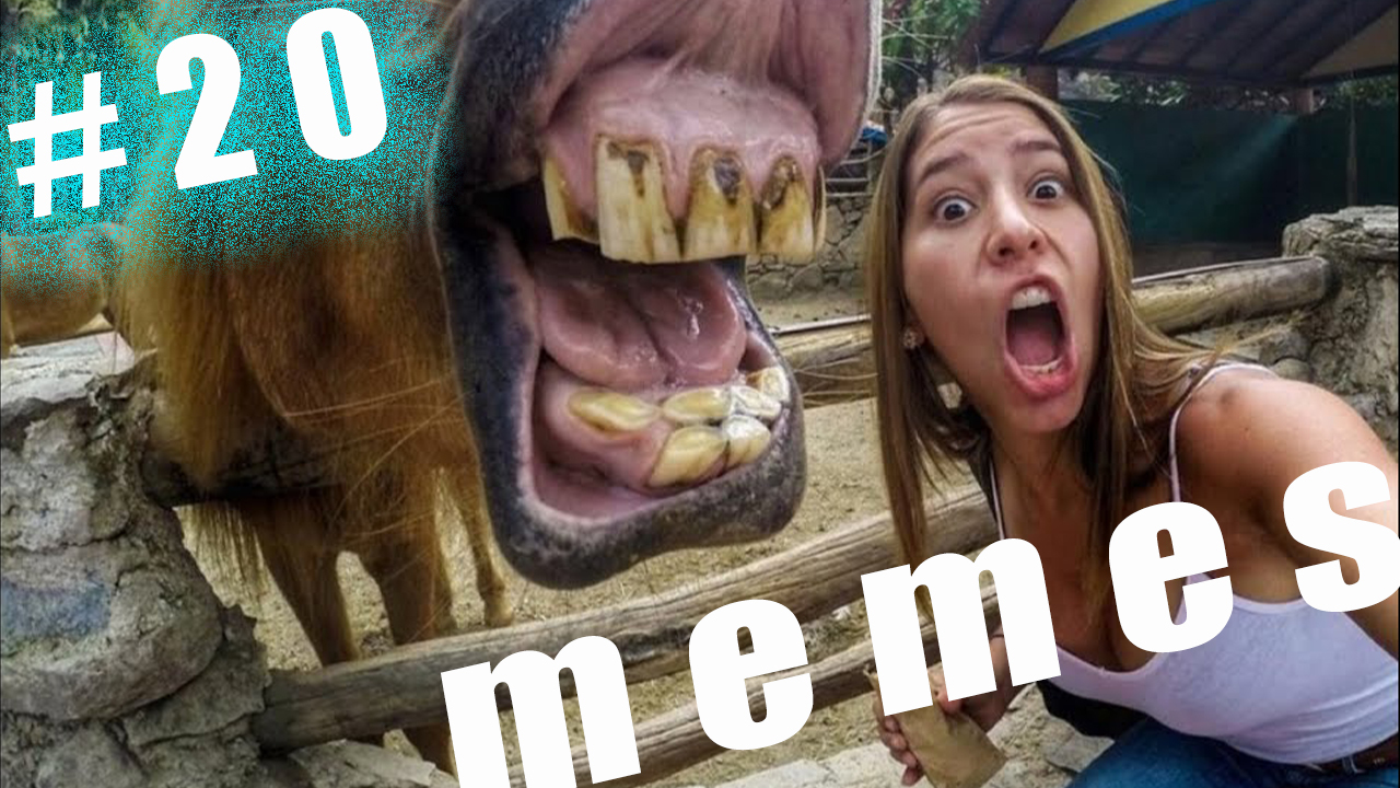 ПРИКОЛЫ 2023 СМЕШНЫЕ ВИДЕО ЧУДИКИ ИЗ ТИК ТОК Смех Для Всех №20