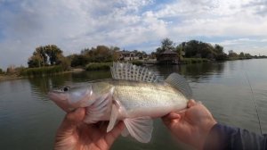 СУДАК на новый спиннинг HR Pro Force Ultra 812MH. Джиг с лодки на Дону.