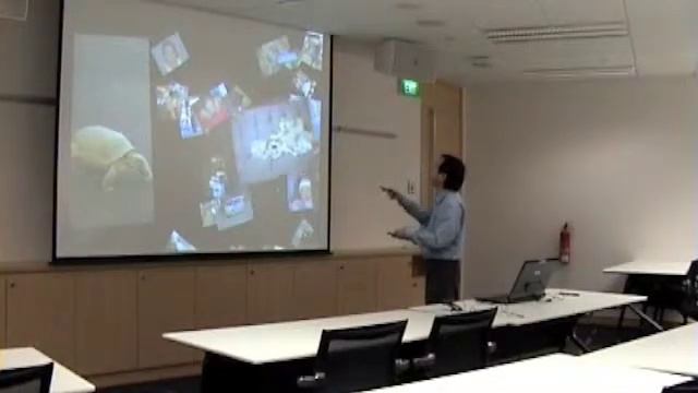 Lightdraw on Windows смотреть онлайн