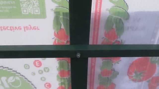 Теплица из поликарбоната Агроном-КрепышЪ от компании Теплицы66.ру