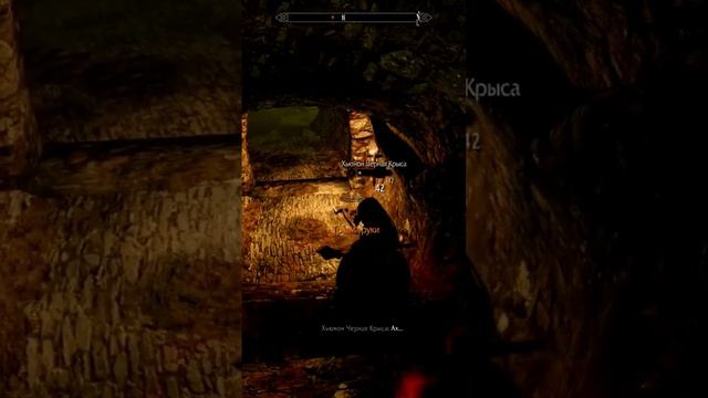 Метательные ножи в Скайриме || Skyrim SE Reflyem #tesv #skyrim #twitch #gaming #short смотреть онлайн