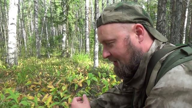 Влог. Отдохнуть от городской суеты и с пользой провести выходной. Продолжаем тесты снаряжения) смотреть онлайн