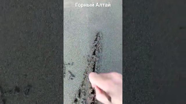 На СЧАСТЬЕ ОСТАВЬ ПОЖЕЛАНИЕ на БЕРЕГУ СВЯЩ.КАТУНИ АЛТАЯ. Ираида Алексеева.Город Солнца ЗвениградМаЭ смотреть онлайн