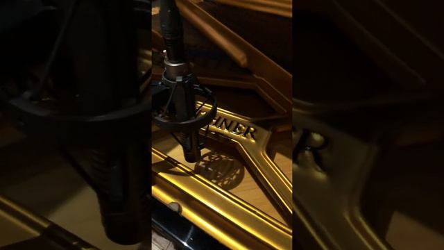 Запись рояля смотреть онлайн