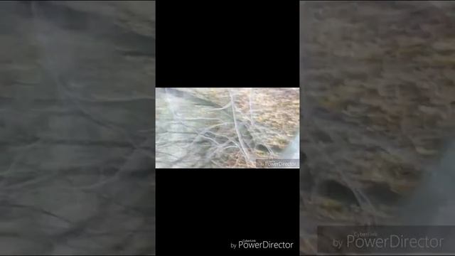 Хожу по высокой трубе смотреть онлайн