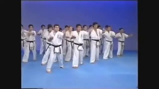 Kyokushin Karate - Kihon Geiko Practice смотреть онлайн