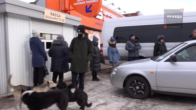 Нелегалы в Иркутске. Кто позволяет пиратским перевозчикам делать много денег. смотреть онлайн