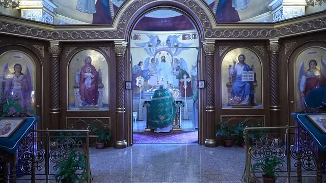 Прямая трансляция: Божественная литургия. 9 апреля 2023. Вербное воскресенье. смотреть онлайн