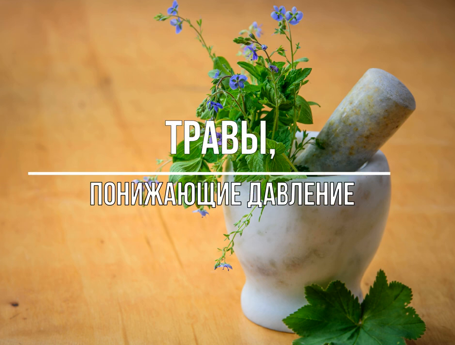 Травы, понижающие давление #травы смотреть онлайн
