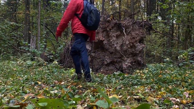 Небольшой пеший поход до усадьбы-заповедника Мураново. смотреть онлайн
