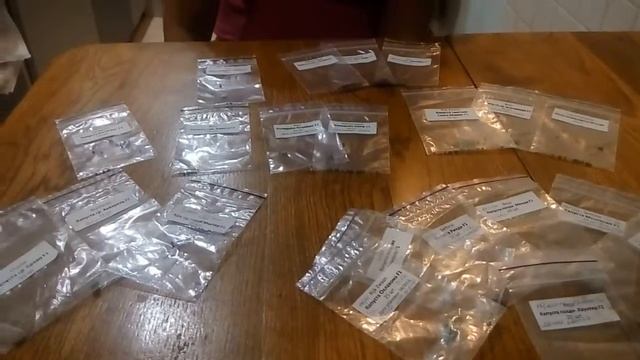 Когда Сеять Капусту На Рассаду 2018. Лучшие Сорта смотреть онлайн