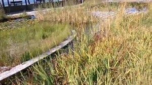 НАБЕРЕЖНАЯ -ПАРАЛИЯ САЛОНИК.?