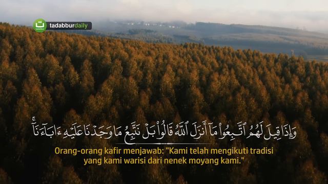 Tadabbur Surah Luqman Merdu dan Terjemahan - Hatem Al Maliki | Tadabbur Daily смотреть онлайн